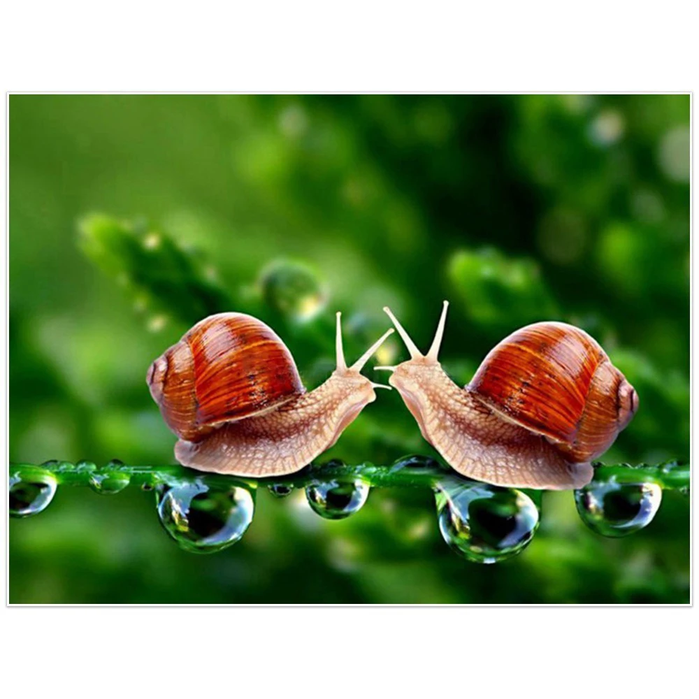 5D алмазная живопись Улитка Зеленый пейзаж Алмазная вышивка Животные крестиком