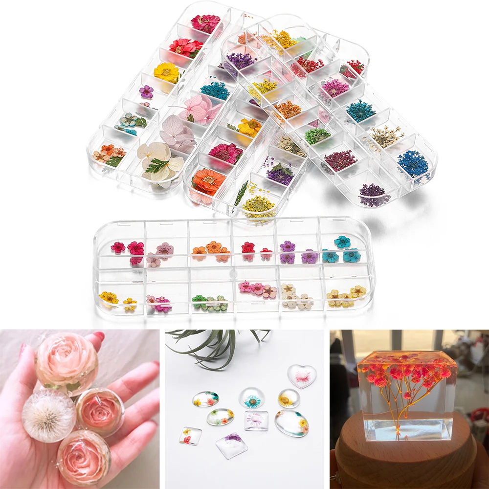 36pcs/Box 12 Colors 3D Real Dried Flower Dry Plants For DIY Epoxy UV Resin Jewelry Making Craft Nail Art Decoration Accessories