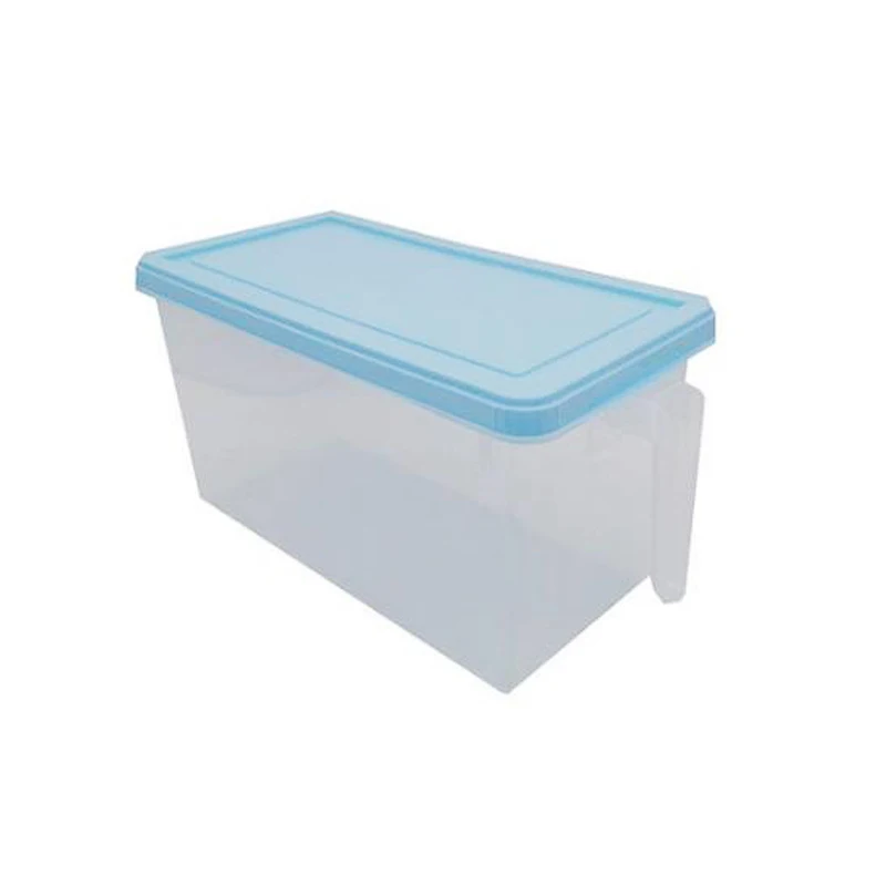 blue Большая емкость, органайзер для хранения на кухне, коробка для запечатывания пищевых продуктов, контейнер для овощей, фруктов, яиц, коробка для сохранения свежести, Домашний Органайзер - Цвет: blue