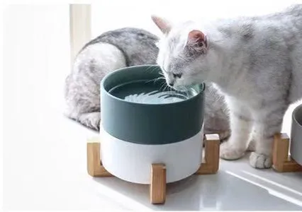 Керамическая приподнятая миска для кошек, основная миска для еды, воды, собаки с противоскользящей деревянной подставкой, защита шеи, суставы для домашних животных, миски для кормления, легко очищаемые