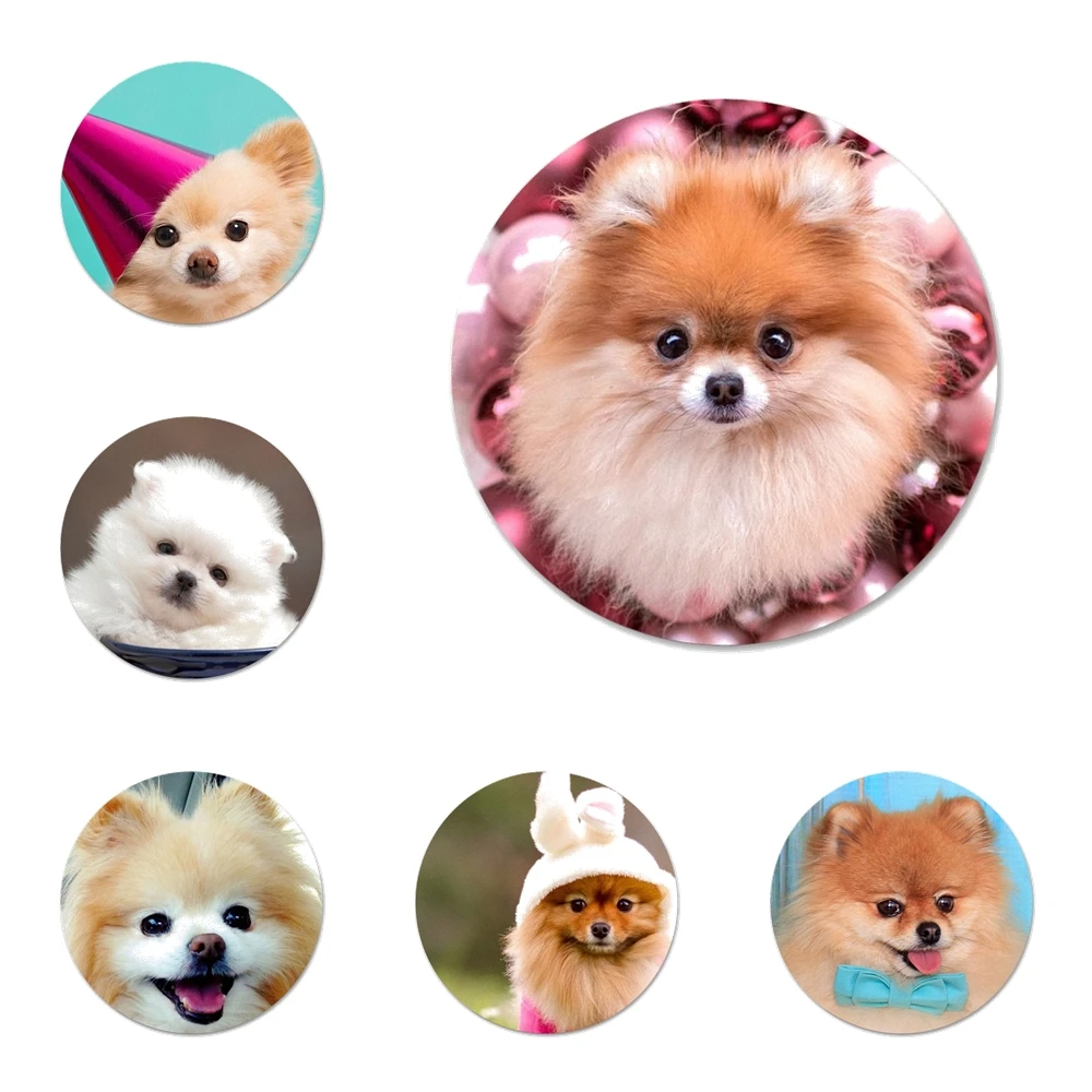 Брошь значок косплея с изображением милого померанского собаки аксессуары для