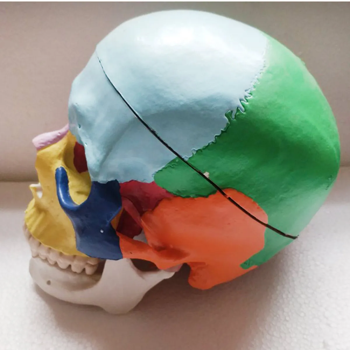 

1pc Human Eagle Statue Sculpture Resin Skeleton Head Replica Medical Model Lifesize 1:1 lab teaching Decorative Craft Skull