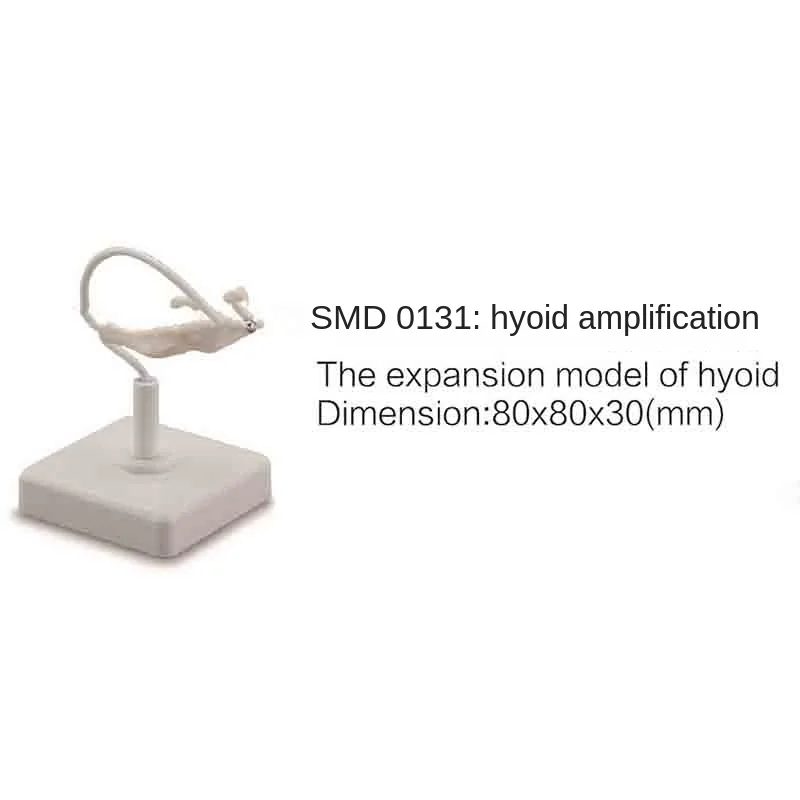

Увеличение hyoid Smd0131