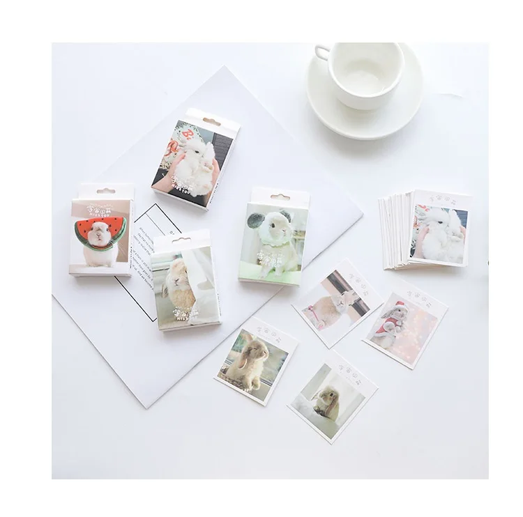 

30 Sheets/Set Lovely Bunny Rabbit Postcard/Greeting Card/Message Card/Birthday Letter Envelope Gift Card