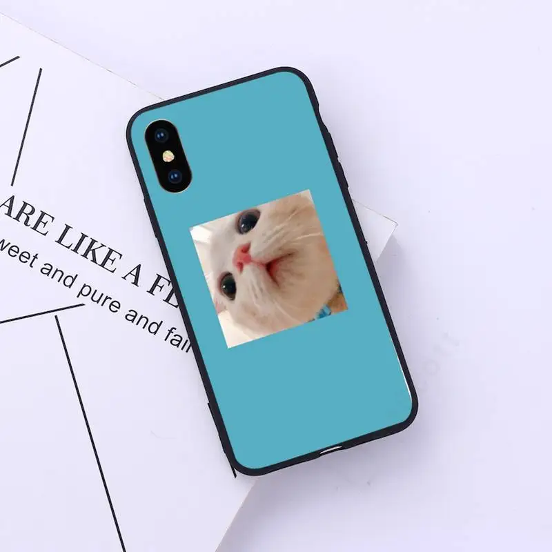 

Cat Aesthetics cute animal Phone Case for iPhone 11 12 pro XS MAX 8 7 6 6S Plus X 5S SE 2020 XR