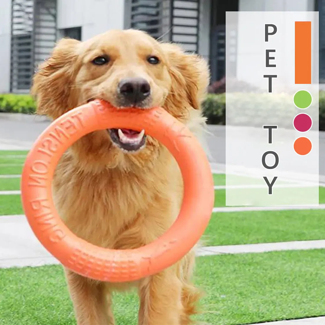 

Outdoor Dog Pet Training Ring Dog Toys Portable Pet Interactive for Small Large Dog Chew Toys Flying Discs Motion Tools Products
