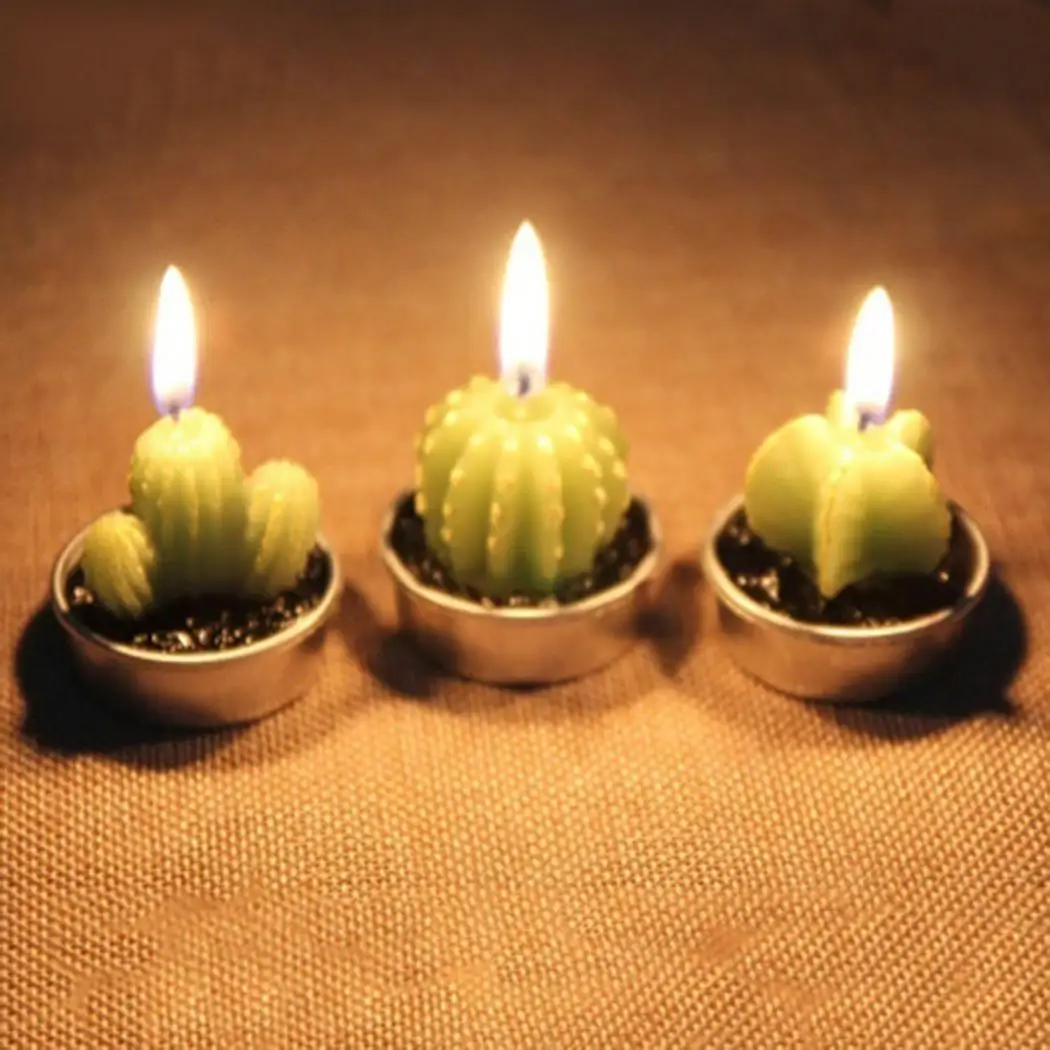 Рождественские Свадебные вечерние 40 растений повседневные 30 свечей кактус