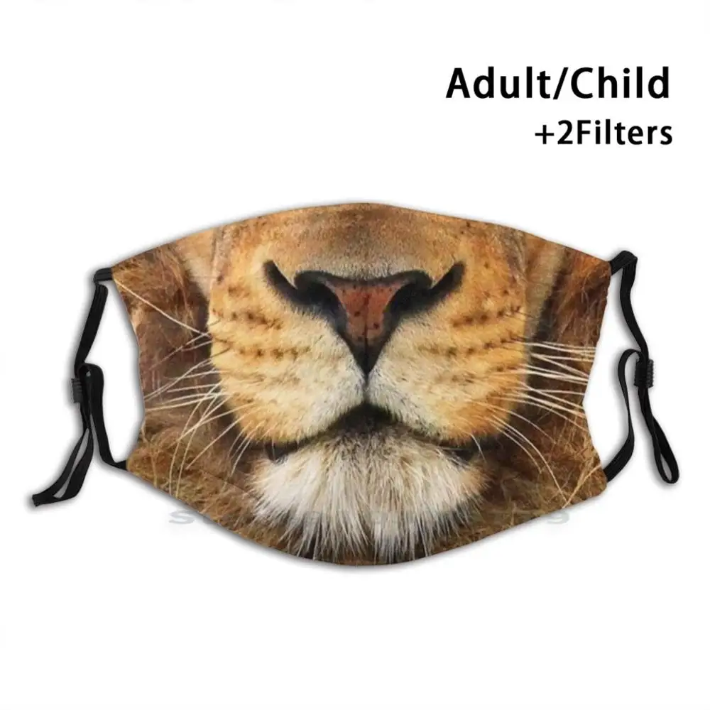 

Lion Face Mouth Design Anti Dust Filter Washable Face Mask Kids Lion Face Big Cats Animal Wildlife Safari Jungle Africa Nature