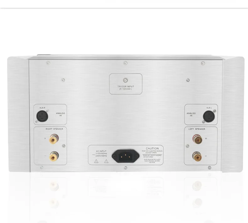 DN 006 Denafrips флагманский APOLLO класса усилитель мощности XLR вход 230W 8 hom 115/220V