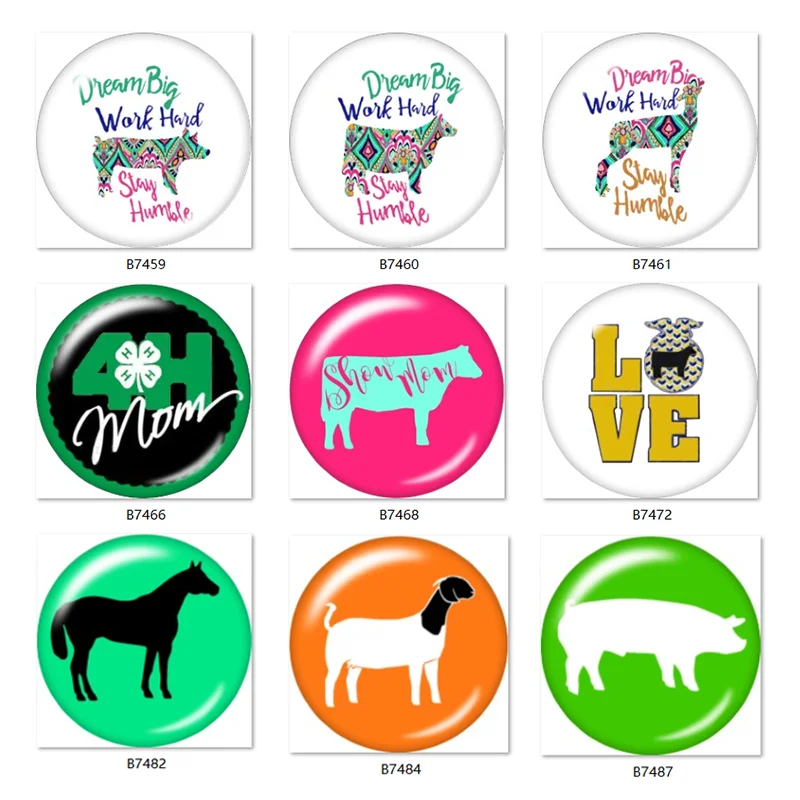 Animal 4H Clover mom DREAM BIG 10 шт Смешанные 12 мм/18 мм/20 мм/25 мм круглые фото стеклянные кабошон
