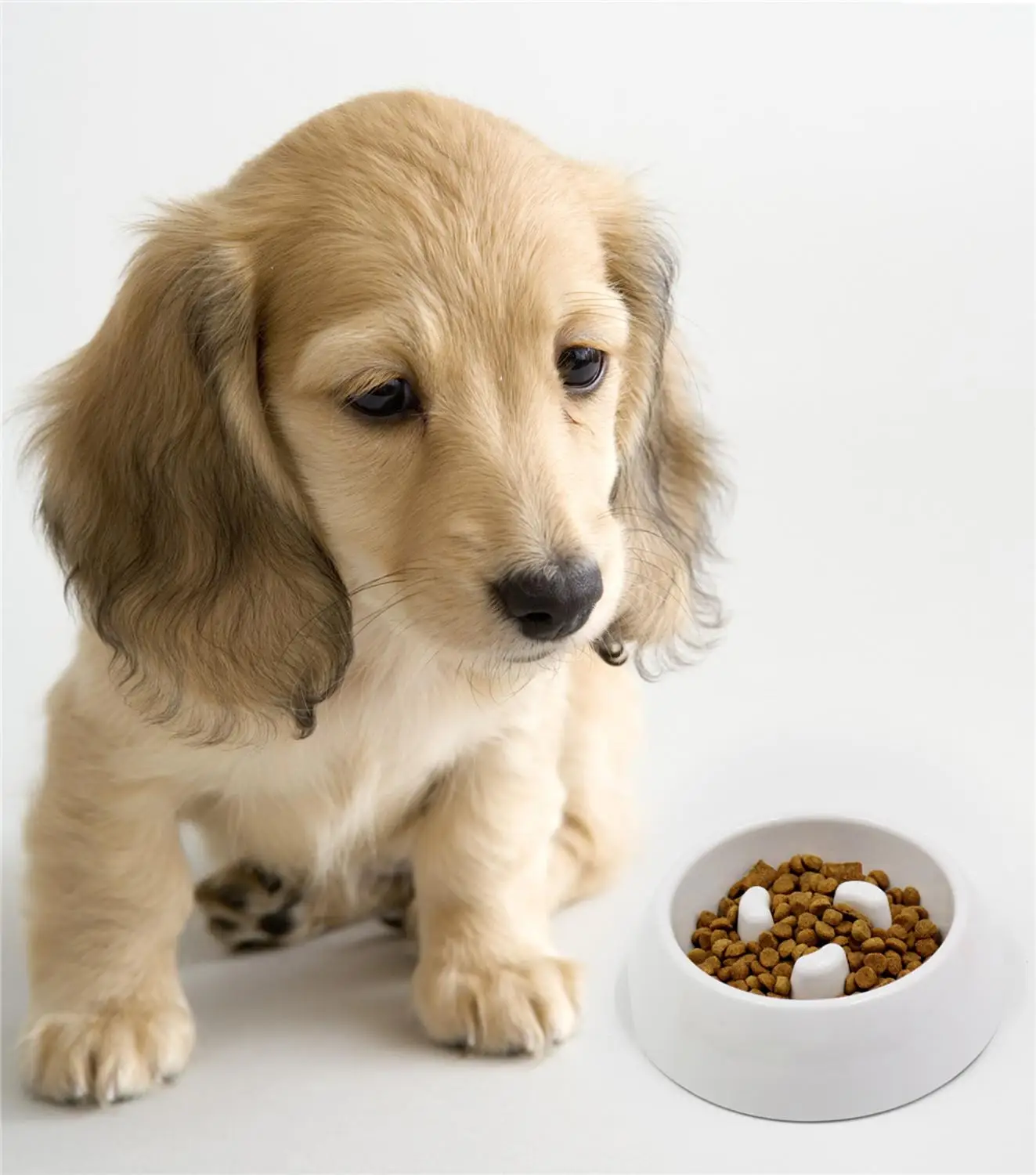 Миска для кормления домашних животных меламиновая миска щенка медленная подача