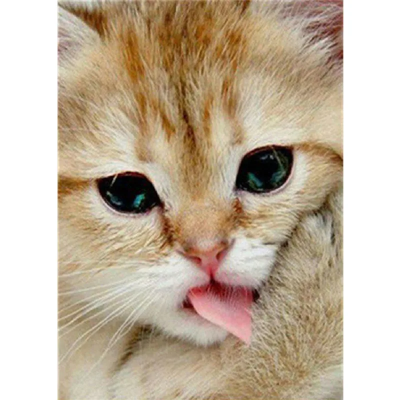 5d алмазная живопись &quotсделай сам&quot мультяшное животное вышивка мозаика полный