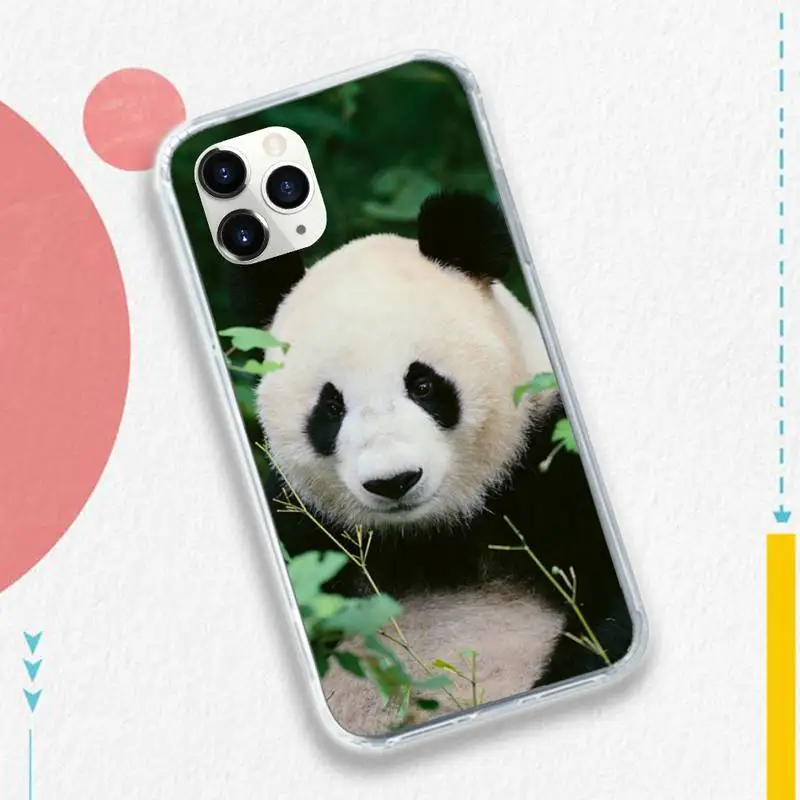 

panda cute animal Phone Case Transparent soft For iphone 5 5s 5c se 6 6s 7 8 11 12 plus mini x xs xr pro max