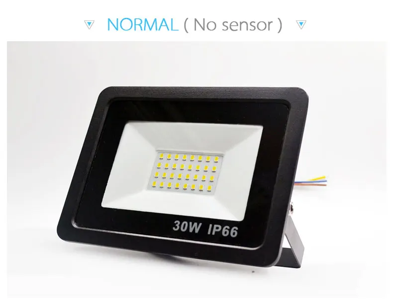 10W 20W 30W 50W 100W Светодиодный прожектор светильник с регулируемой PIR Сенсор SMD 2835 потолочные светильник уличный светильник ing для улицы, площади