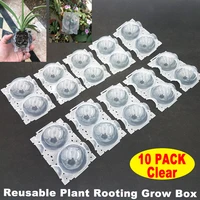 10pcs plant rooting ball grafting rooting growing box plant rooting high pressure grafting breeding case for garden plant