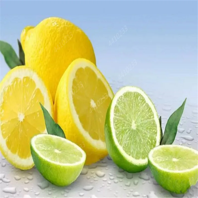 10 шт. искусственный помело |