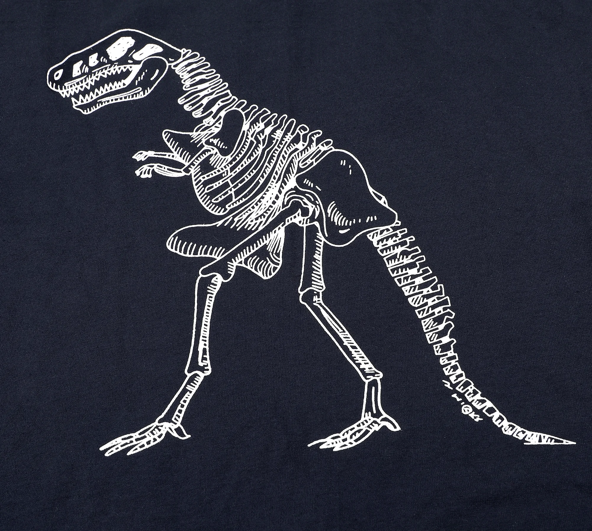 Детский пижамный комплект с длинным рукавом и принтом динозавра|Сочетающаяся