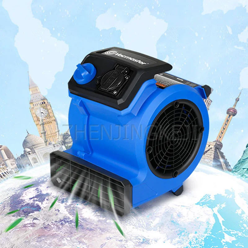 

220V Portable Floor Hair Dryer Low Power Large Air Volume Small Commercial Household Floor Carpet Silent Multi-Angle Blow Blower