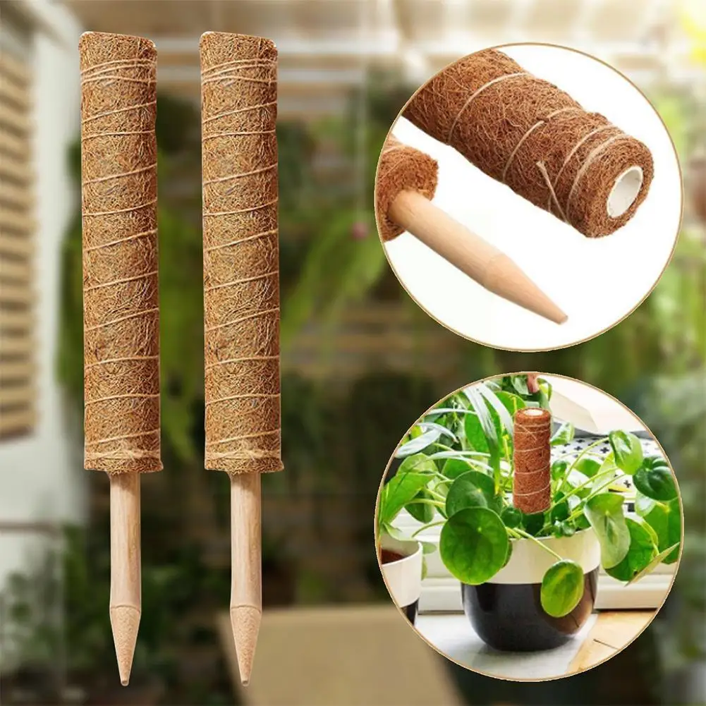 

Plant Support Rod Bracket Climbing Frame Winding Green Climbing Vine Moss Support Tool Plant Bamboo Sclerotium Middle O8l1