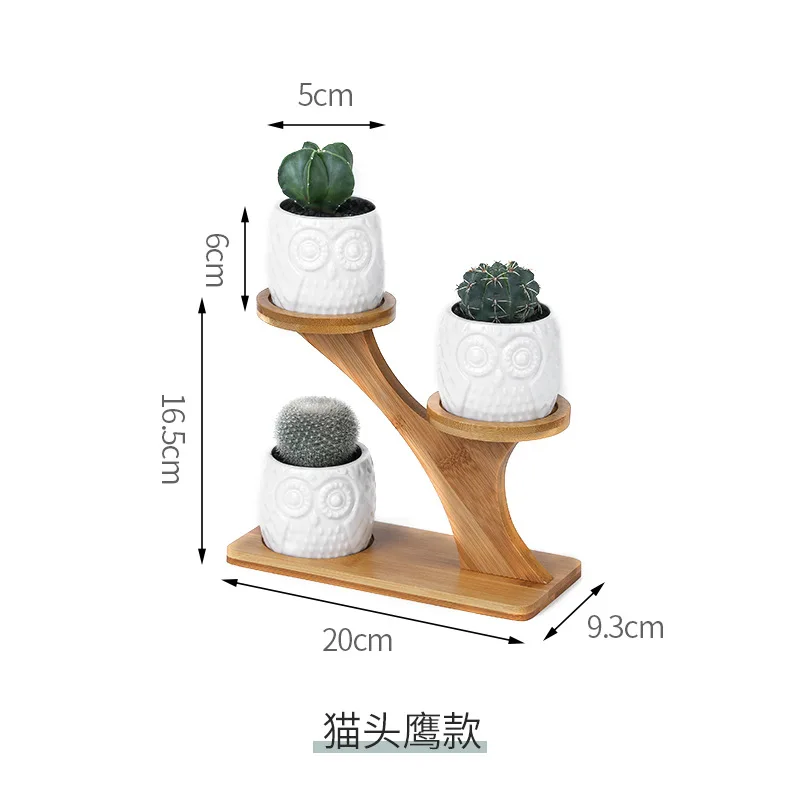 Ceramic Garden Pots Modern Decorative Nursery Succulent Plant Pot 3 Bonsai Planters with 3-Tier Bamboo Shelf Free Ship | Дом и сад