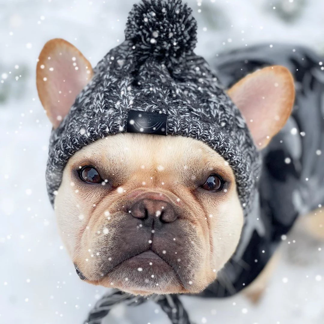 Товары для домашних животных аксессуары собак меховой шар на осень и зиму
