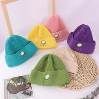 2021 autumn and winter new childrens knitted hat korean embroidery fruit lemon wool hat men and women baby warm cold hat