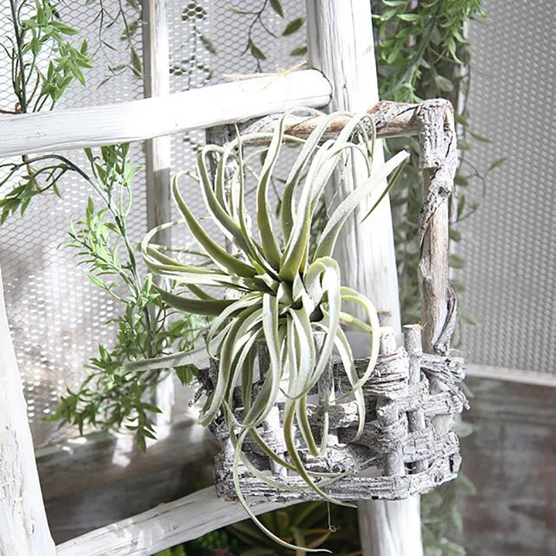 1 шт. Искусственные цветы ананас трава цветок воздушная Свадебная стена с цветами