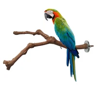 creative bird toy parrot cage hanging standing wood pole parakeet bite claw grinding toy birds cage perches supplies accessories
