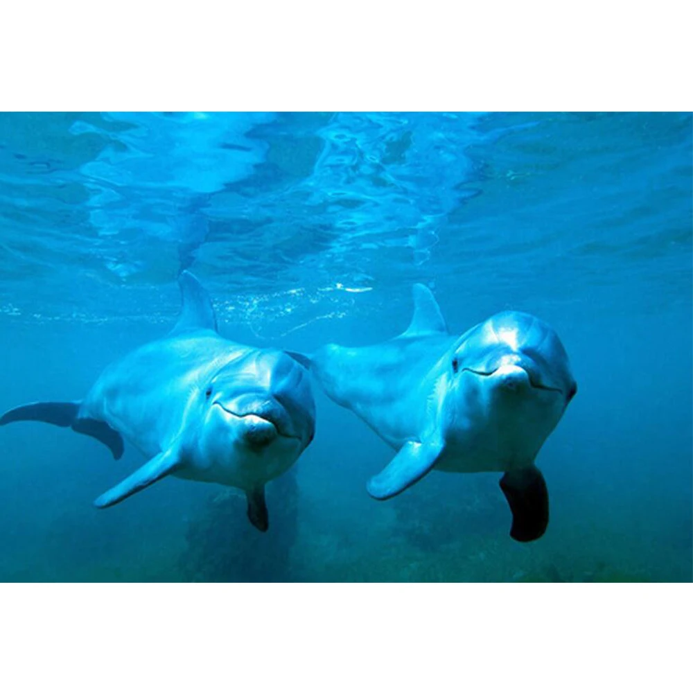 Стразы квадратные/круглые Алмазная 5D Вышивка сделай сам животное Дельфин Пара 3D