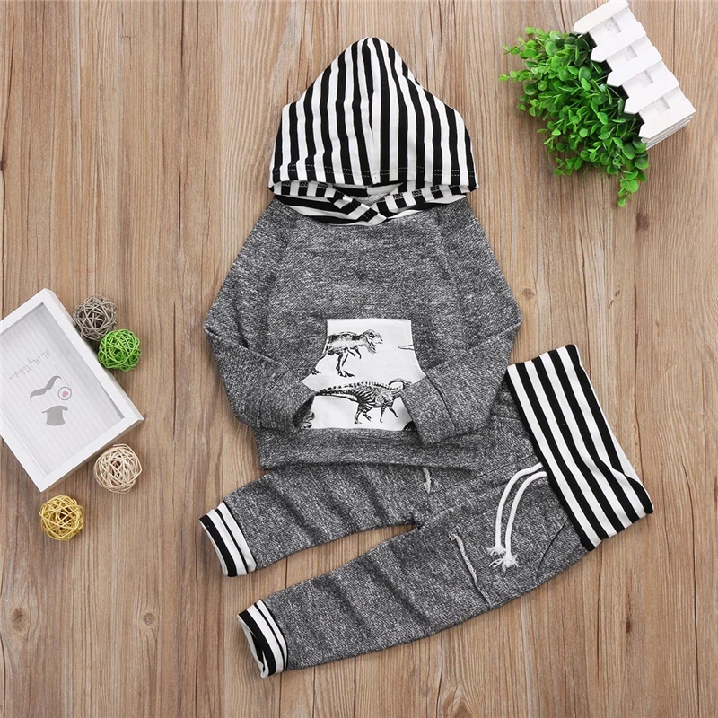 0-24Months Newborn Kid Baby Boys Clothes Long Sleeve Hoodies Dinosaur print Tops Pants Outfits Clothing Sets |