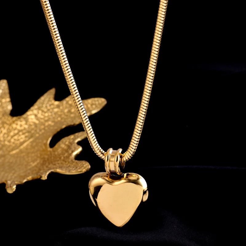 Ожерелье из нержавеющей стали не выцветает изношенное с обеих сторон яркое