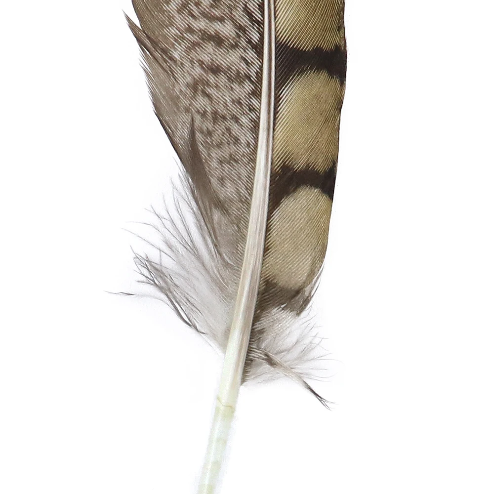 Натуральные перья фазана 15-20 см окрашенные петушиные для рукоделия украшения