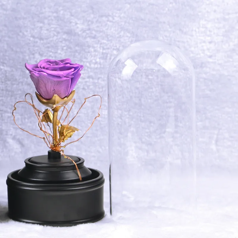 Hot Sale Beautiful Led Light Bluetooth Speaker Preserved Eternal Roses in Glass Dome | Дом и сад
