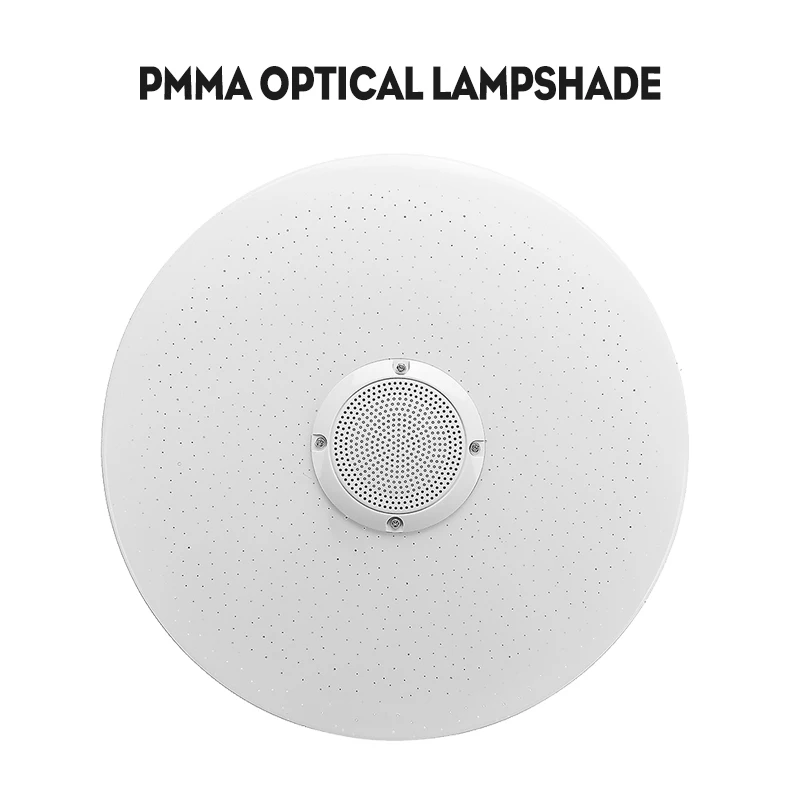 

Led Ceiling Lights for Bedroom Livingroom Remote App Control with bluetooth Speaker Dimmable RGB Music Ceiling Light
