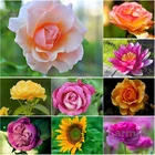 Алмазная 5D картина для творчества, настенная живопись с пейзажем, цветами, вышивка крестиком, картина с полными кругами и квадратными стразами, украшение для дома, подарок