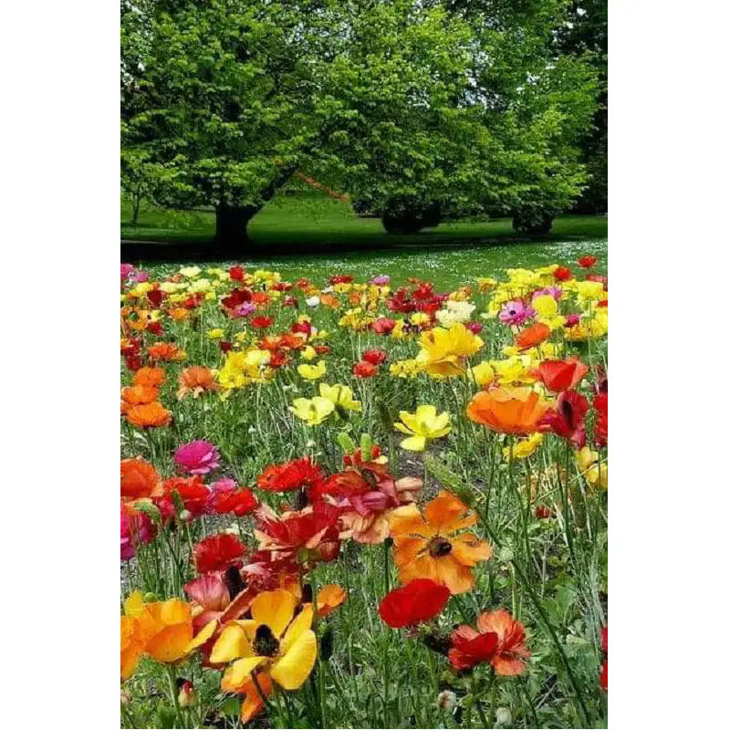 

Square Diamond Embroidery stickers DIY 5d Diamond Painting Cross Stitch Full Rhinestones Mosaic Spring landscape home Decorative