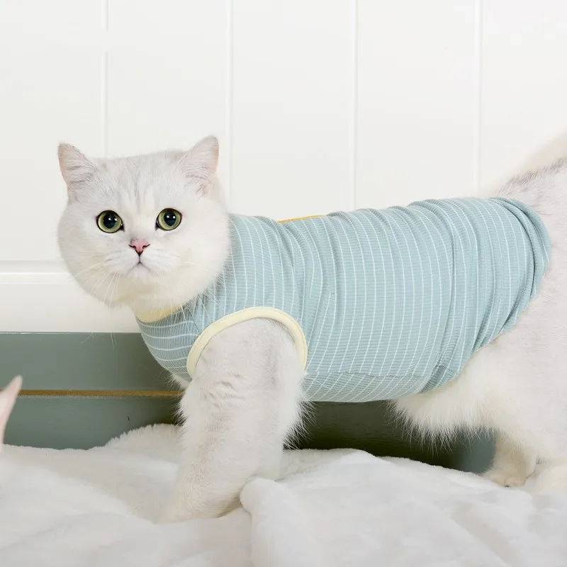 

2021 new cute kitten clothes spring and summer thin hairless cat pet cat blue cat anti-hair loss cat vest comfortable breathable