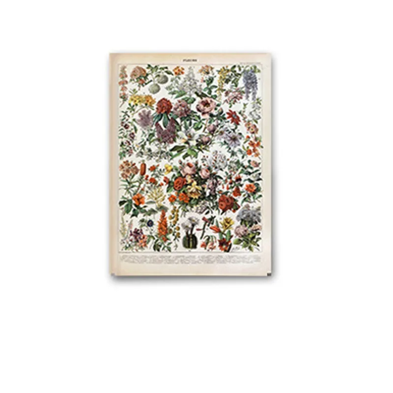 

Palaeobios Plant Retro Poster Flower Animal Insect Butterfly Mushrooms Faux Silk Art Oil Painting Home Living Room Decoration