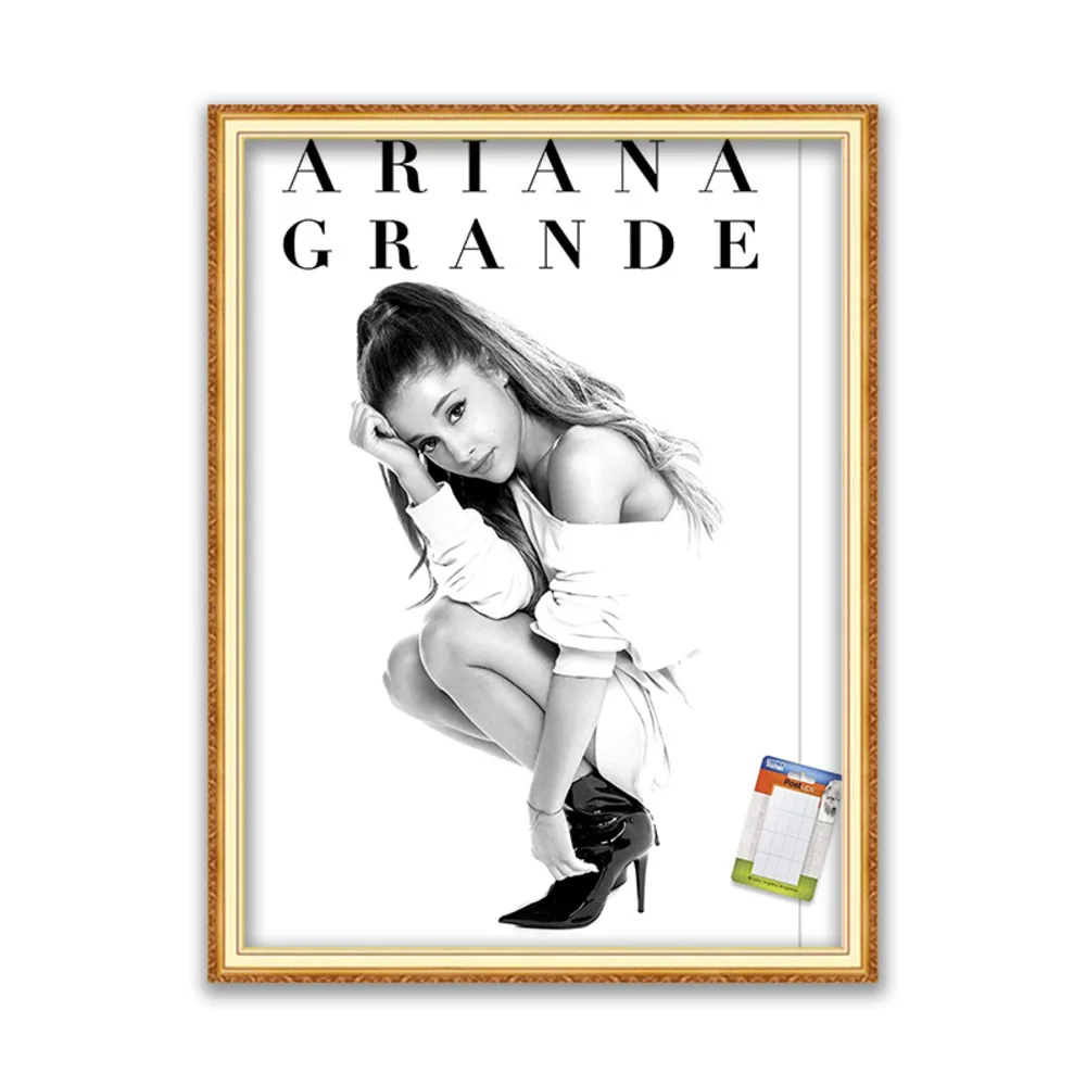 Набор для вышивки крестиком Ariana Grande сделай сам 11CT набор рукоделия холст с принтом