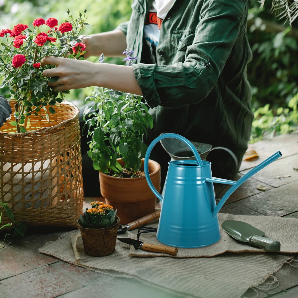 

1pc Useful Watering Can Practical Watering Kettle Watering Tool For Garden