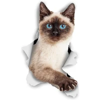 leakage siam cat car stickers cross country diesel car motorcycle accessories lovely decoration refrigerator car fun decca pvc