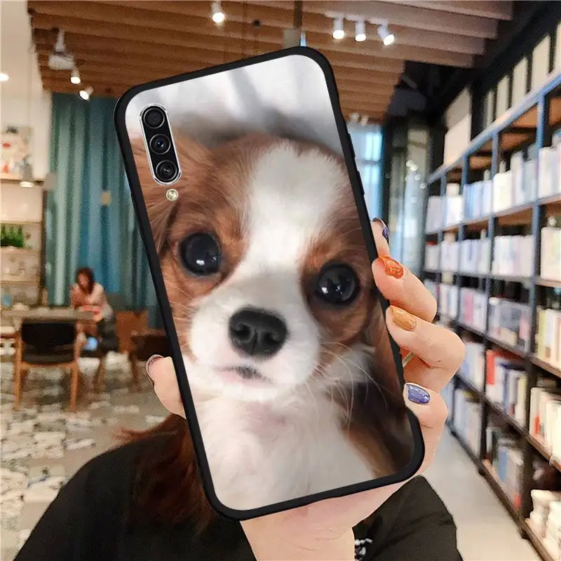 

Cavalier King Charles Spaniel Dog luxury design Phone Case For Samsung galaxy A S note 10 7 9 20 30 31 40 50 51 71 21 s ultra