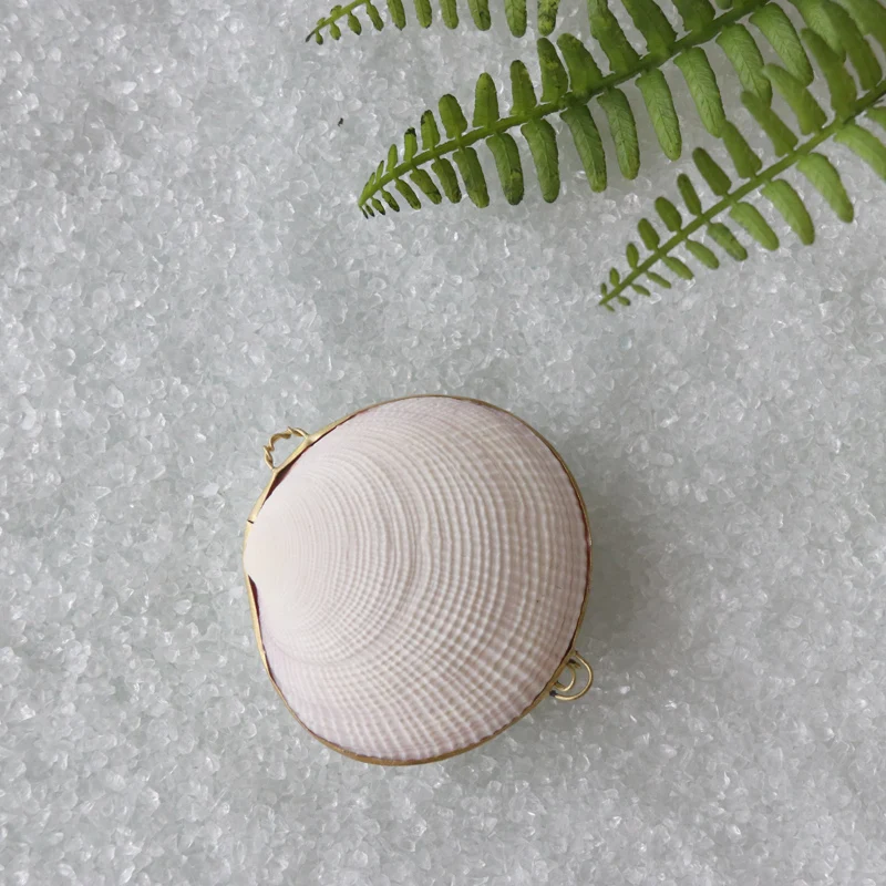 

(1pcs/lot)Shell Jewelry Box Natural Shell Beach Wedding Ring Bearer Box Handmade Shell Crafts Bridesmaid Gift