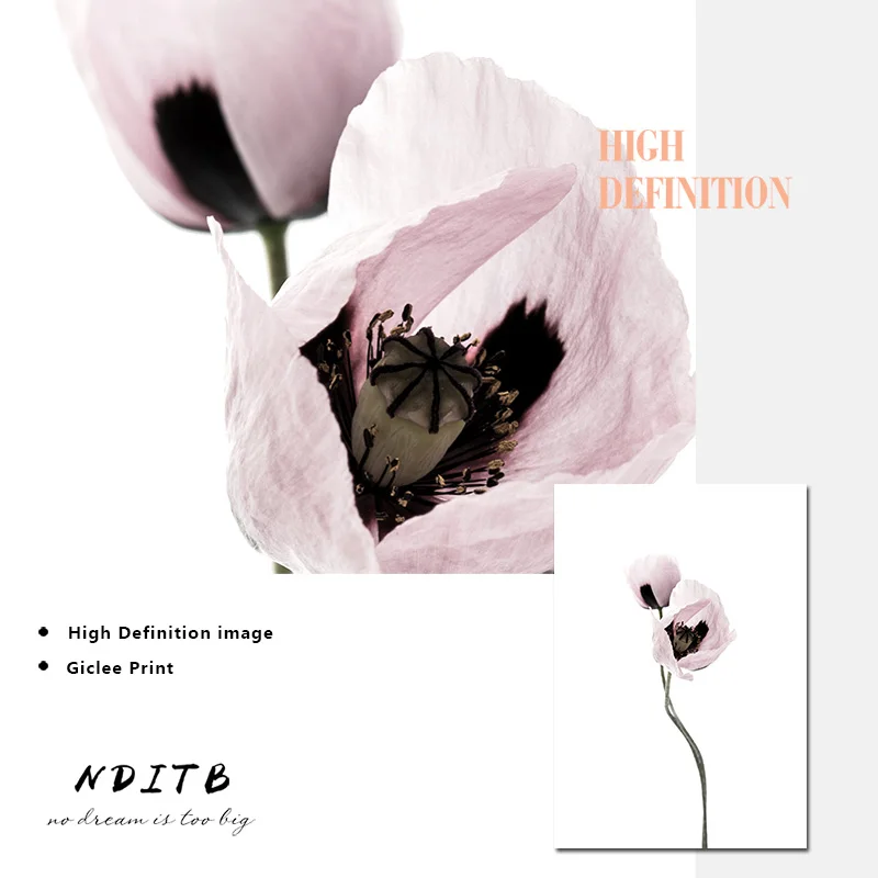 Расцветка розовый цветок художественный постер скандинавский холст