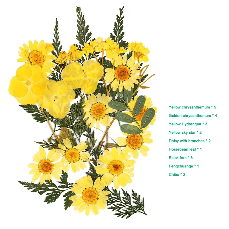 

Pressed Flower Mixed Dried Flowers DIY Art Floral Decors Collection Gift Craft DIY HK3