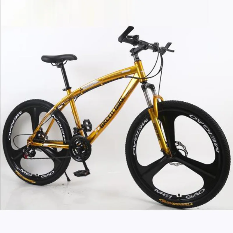 

Variable Speed Mountain Bike