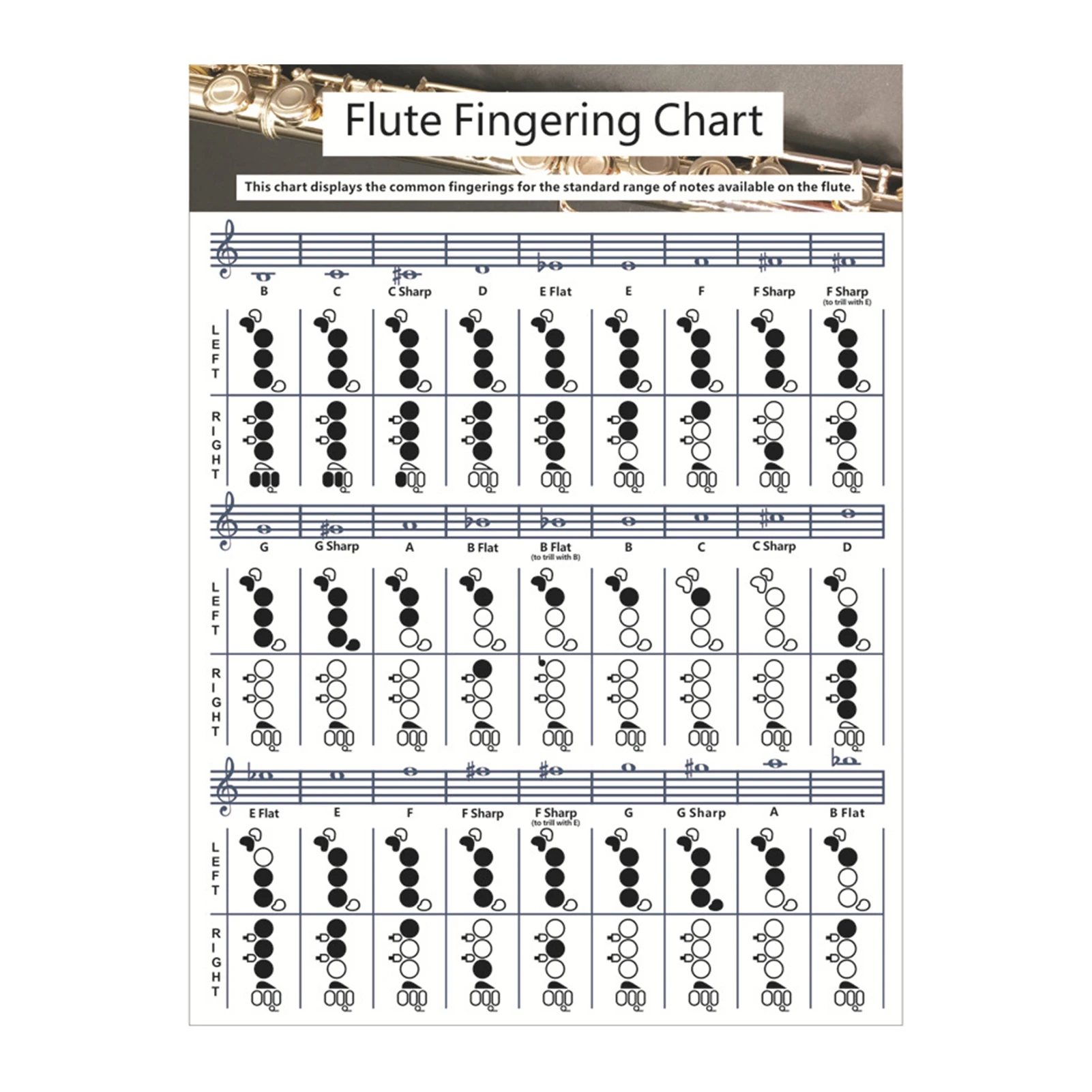 

Key Tones Standard Notes Fingering Practice Universal Coated Paper Easy Understand Chord Chart Beginner Student For Flute Smooth