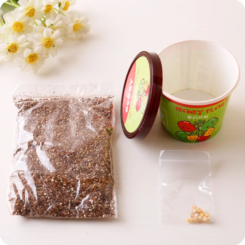 DIY офис предотвращения излучения маленькие горшечные растения Мята комаров Лаванда гвоздика с цветочный горшок Soi сад