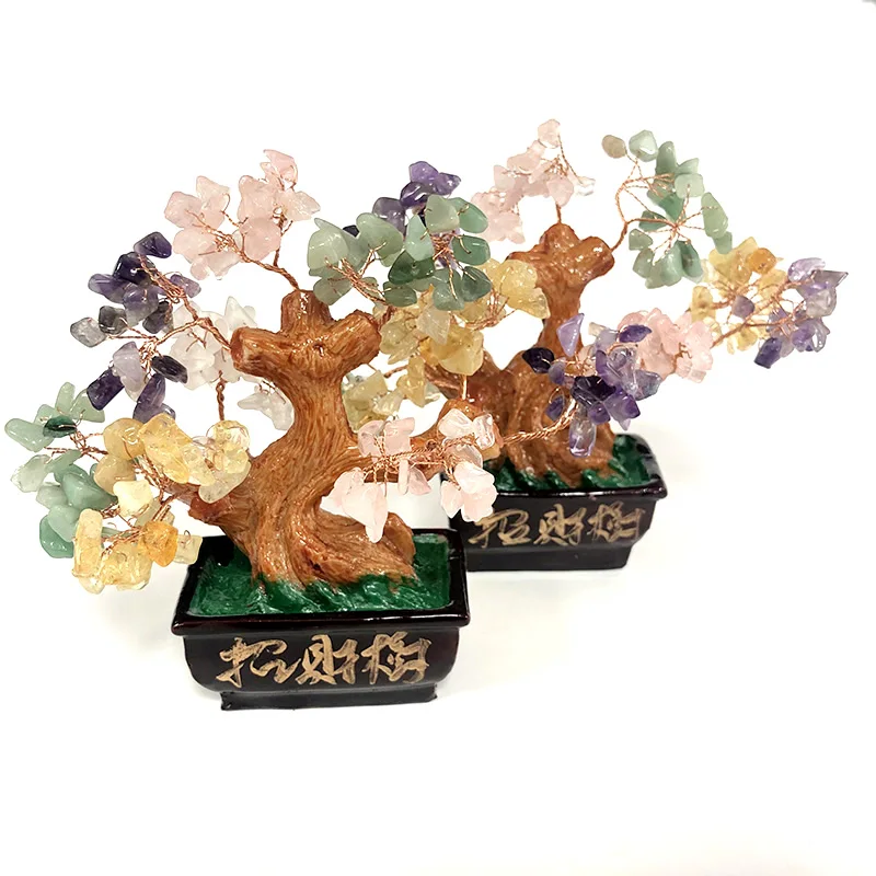 С натуральными кристаллами гравия денежное дерево pachirabmacrocarpa Рисование денег для