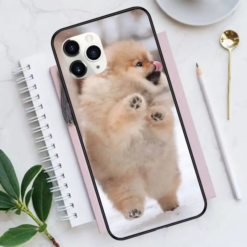 

Pomeranian dogs dog Phone Cases for iPhone 11 12 mini pro XS MAX 8 7 6 6S Plus X 5S SE 2020 XR